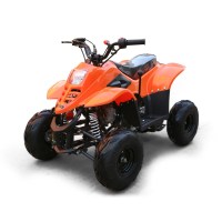 miniblazer