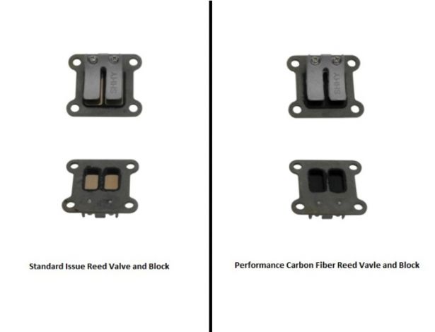 Reed Valve and Block - Air Cooled - 20A9910 - PBC1699F1