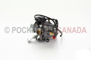 300bearstockcarb