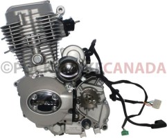 Complete_Engine_ _Vertical_150cc_Engine_Manual_Shift_Electric Kick_Start_5