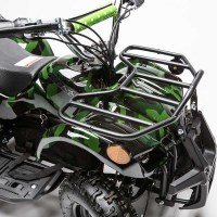 Electric_atv2