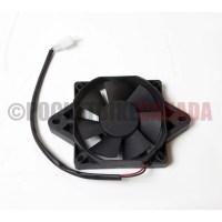 G1100006