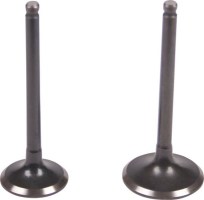 Intake and Exhaust Valve - 250cc - 20A2517 - PBC1728F1