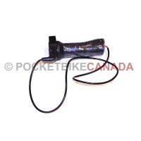 electricbikeaccelerator