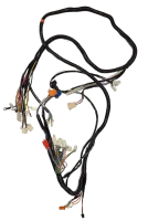 Tessa Wire harness